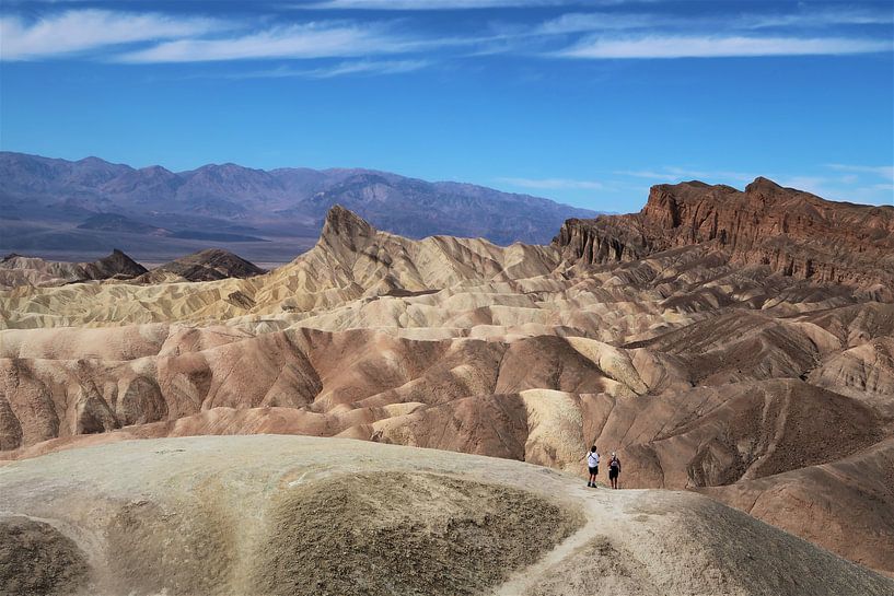 Het maanlandschap van Death Valley, Verenigde Staten van Wouter van der Ent