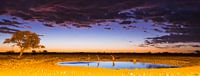 Zonsondergang in Etosha National Park van Kimo Grashuis thumbnail