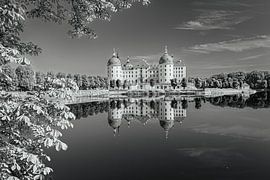 Kasteel Moritzburg
