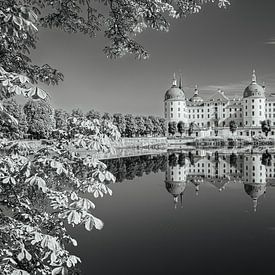 Moritzburg Castle by Ralf Hickmann