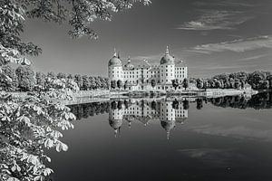 Schloss Moritzburg