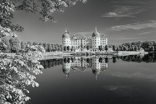 Kasteel Moritzburg