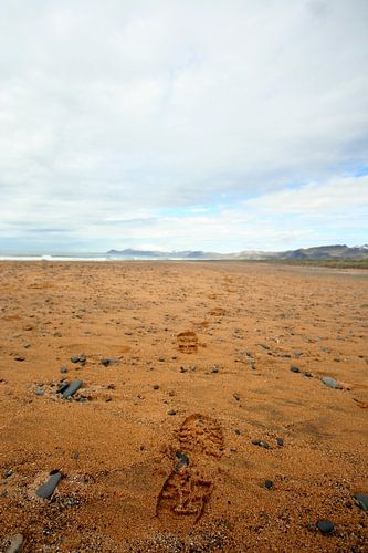 Des pas vers l'horizon