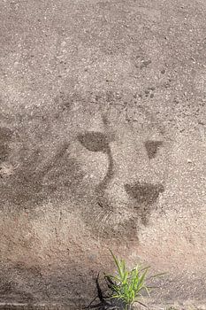 Geest van de cheeta. Digitale kunst. Afrika