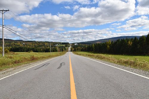 Une route de campagne en été