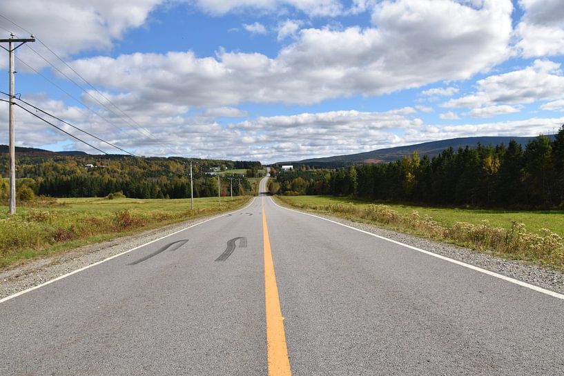 A summer country road by Claude Laprise