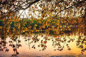 Feuillage d'automne sur le magnifique lac Baldeney à Essen au coucher du soleil. sur Dieter Walther