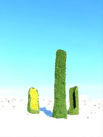 Drie eenzame boomstronken van GreenART by Hubert Fenzl
