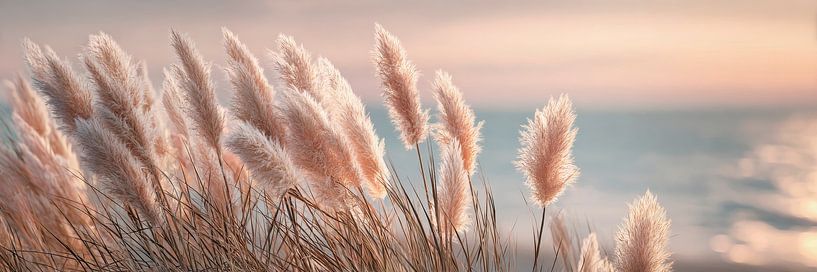 Sunset Pampas Poetry by Melanie Viola
