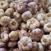 Verse knoflook van de markt naar de keuken