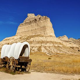 Covered wagon on the Prairie by Adelheid Smitt