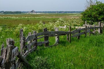 Landschap Texel met hekwerk van juthout van Sandra Kulk