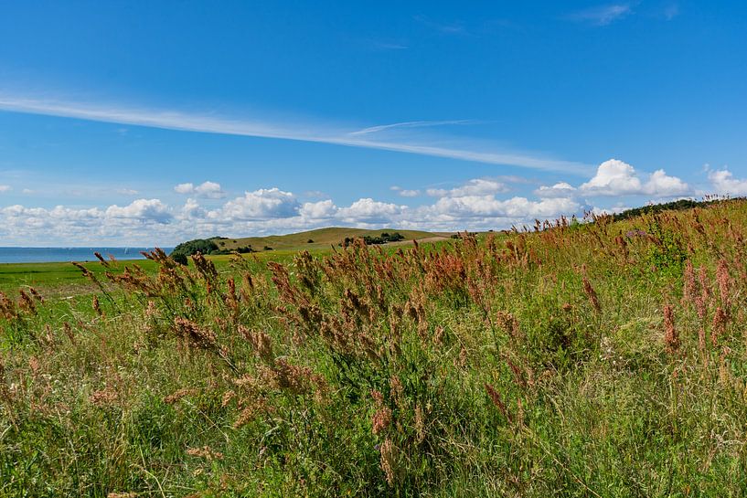 Groß Zicker, Halbinsel Mönchgut, Rügen von GH Foto & Artdesign