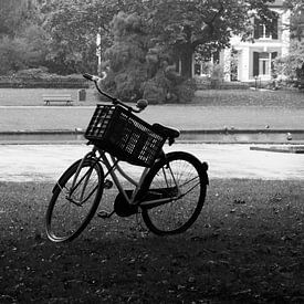 Alone sur Maarten Krabbendam