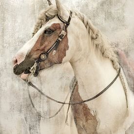 Cheval et cavalier sur les dunes de Loonse et Drunense. sur Alie Ekkelenkamp
