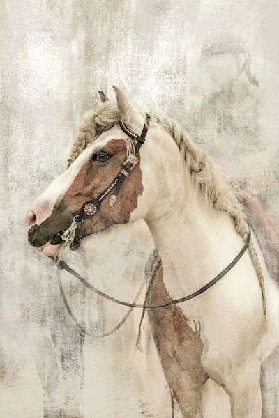 Cheval et cavalier sur les dunes de Loonse et Drunense. par Alie Ekkelenkamp