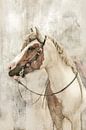 Cheval et cavalier sur les dunes de Loonse et Drunense. par Alie Ekkelenkamp Aperçu
