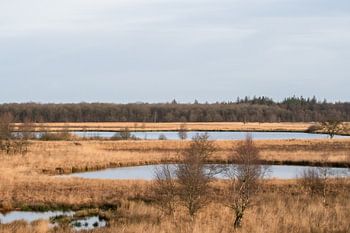 Retour à l'ère glaciaire
