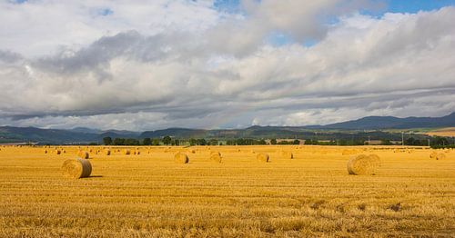 Ballots de foin en Ecosse