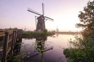 Ein schöner Morgen in Kinderdijk und seinen Mühlen von Dirk van Egmond