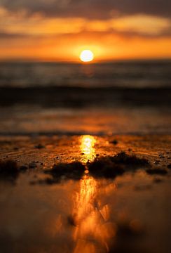 Sunset by Nicole Boekestijn