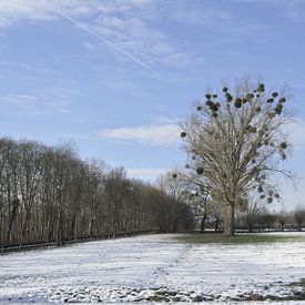 Winterlandschap Duitsland van Luke Bulters