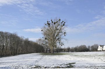 Winterlandschap Duitsland von Luke Bulters