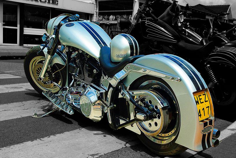 American Beauty von Doms Photos