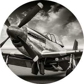 de P51 Mustang van Frank Peters