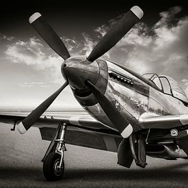 the P51 Mustang by Frank Peters