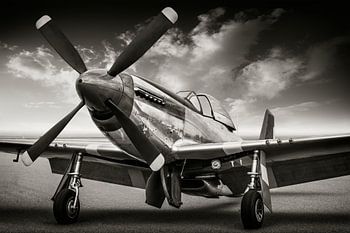 die P51 Mustang