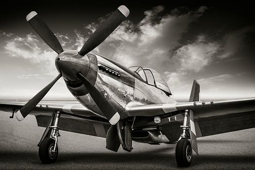 de P51 Mustang