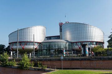 European Court of Human Rights. by Richard Wareham