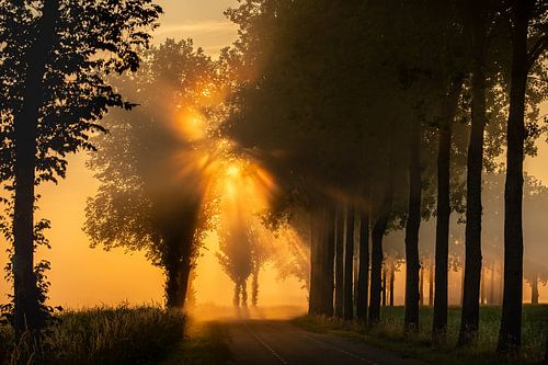 Sprookjesachtige zonsopkomst