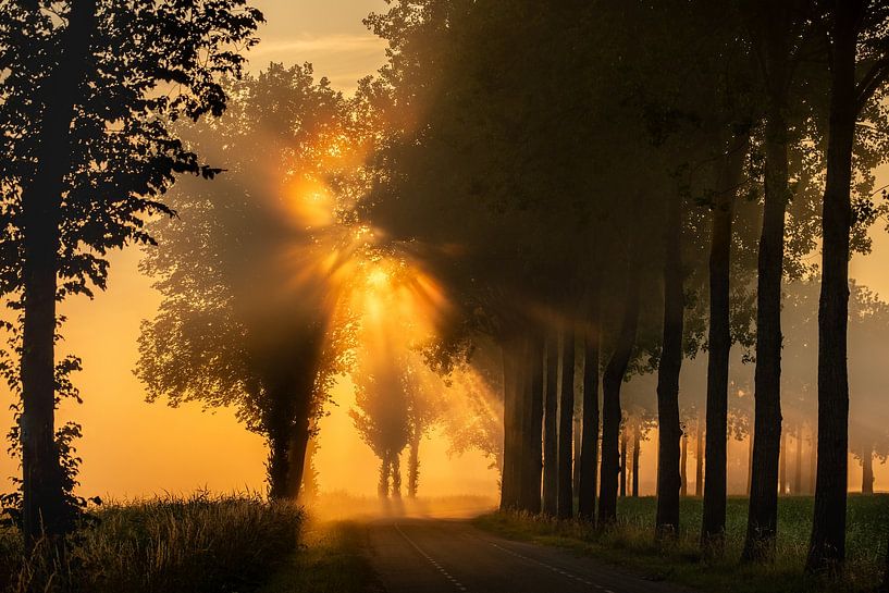 Märchenhafter Sonnenaufgang von Moetwil en van Dijk - Fotografie
