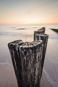 Paalhoofden van Max ter Burg Fotografie