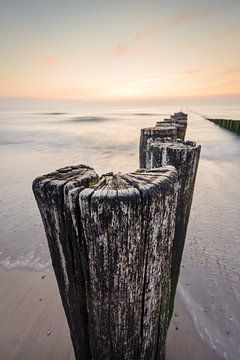 Paalhoofden van Max ter Burg Fotografie