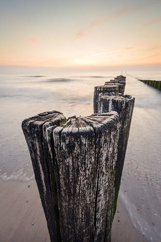 The groynes