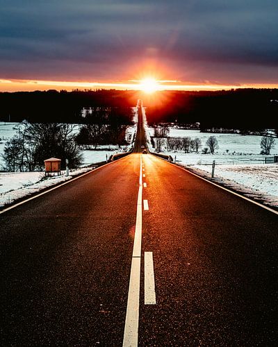 Der Sonne entgegen