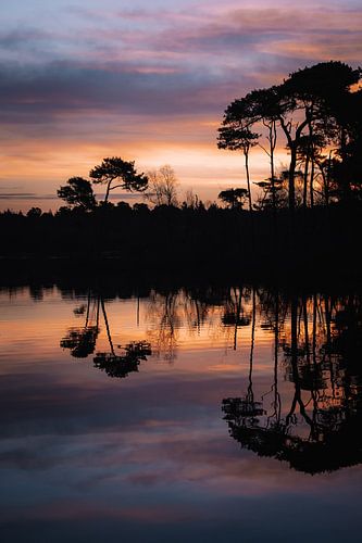 Zonsopkomst bij de Oisterwijkse Plassen
