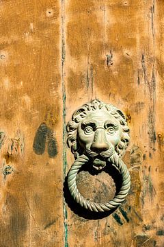 Door knocker lion head by Dieter Walther