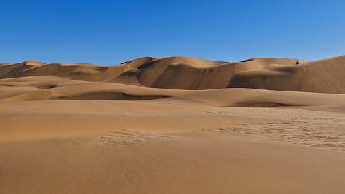 De Duinen van de Namib Woestijn