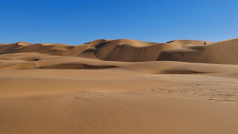 Namib Desert Dunes by Timon Schneider