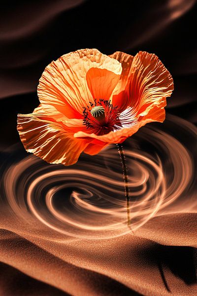 Coquelicot surréaliste dans le sable par Imperial Art House