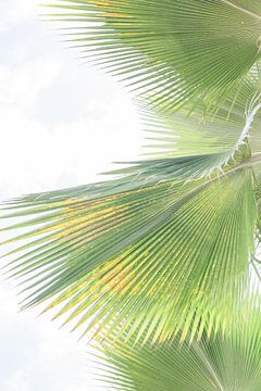 tropische groene palmbladen van Marleen Dalhuijsen