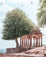 Rustgevend beeld voor de entree van het fort in Jodphur India.
