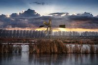 Alte Windmühle im neuen Biesbosch.