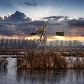 Oude windmolen in de nieuwe Biesbosch. van Nick Schouwenaars