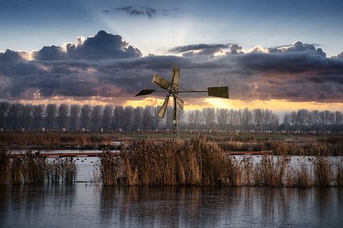 Old windmill in the new Biesbosch.