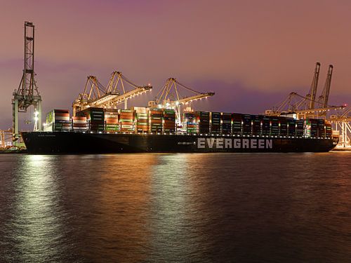 Ever Govern (Evergreen) sur Havenfotos.nl(Reginald van Ravesteijn)
